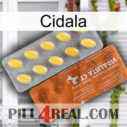 Cidala 42